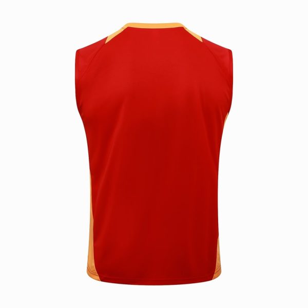 Camiseta Sin Mangas Corta Bayern Munich 2024 2025 Rojo Claro