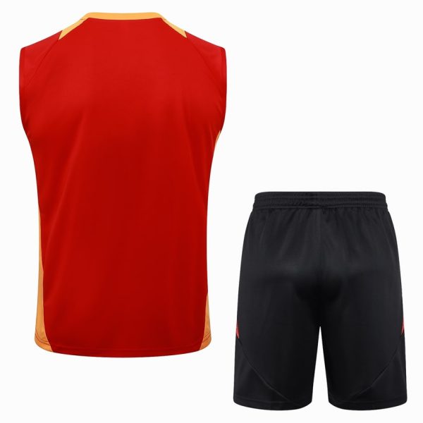 Camiseta Sin Mangas Corta Bayern Munich 2024 2025 Rojo Claro