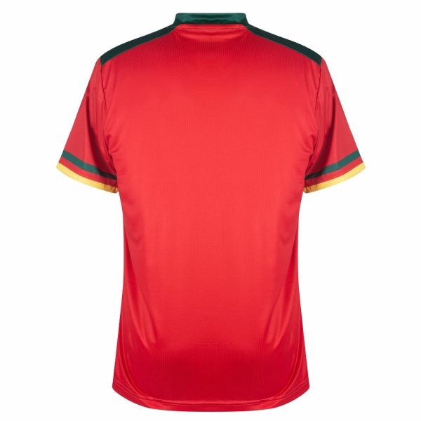 CAMISETA CAMERUN TERCER MUNDIAL 2022